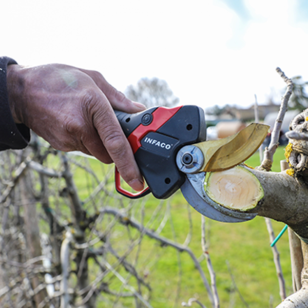 Infaco F3020 Medium Electric Pruning Shear - Image 3