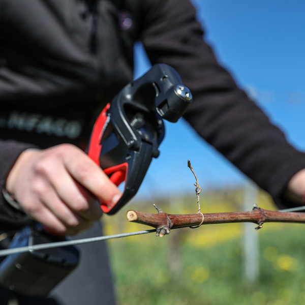 Infaco AT1000 Automatic Vineyard Tying Machine - Image 3